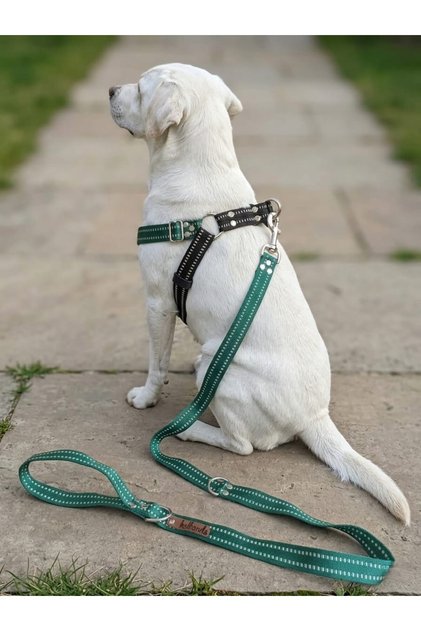 Dog Chest Harness Adjustable and Leash Set of 2 Medium & Large Breeds Green & Black