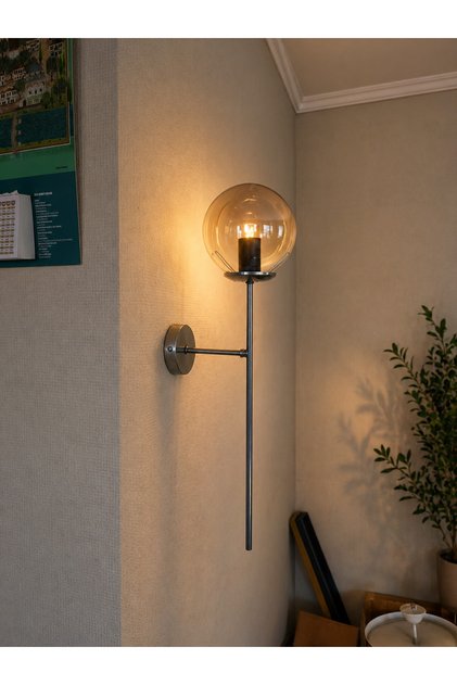 Ayli̇n Gray Case Globe Glass Wall Lamp