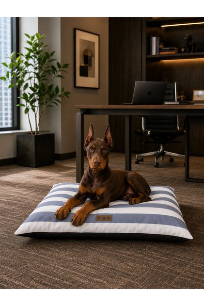 Kedi ve Köpek Yer Minderi Üst Kalite Yıkanabilir Kılıflı Fermuarlı %100 Boncuk Elyaf Kaydırmaz Taban Kedi ve Köpek Yatağı