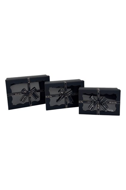 Set 3 Cutii Dreptunghiulare cu Capac Transparent Beautiful Day Negru