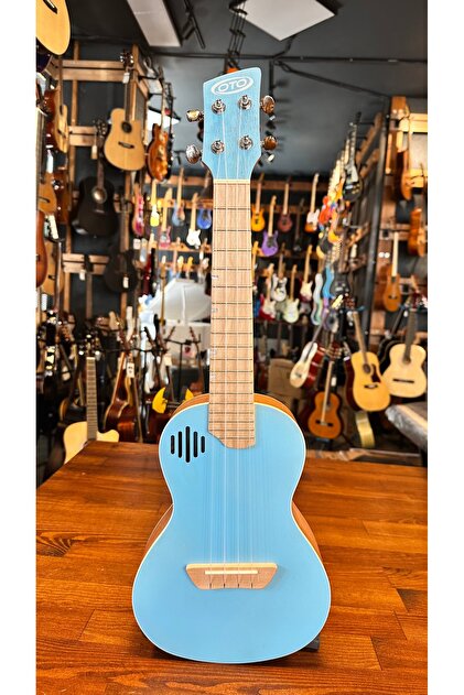 Profesyonel Concert Ukulele