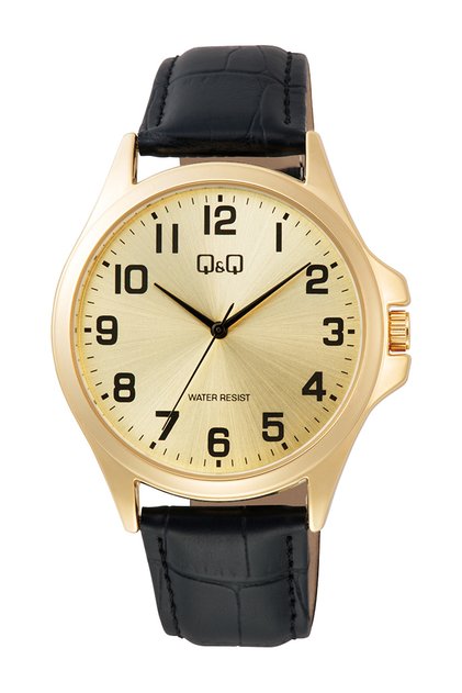C36A-011Py Men's Wristwatch