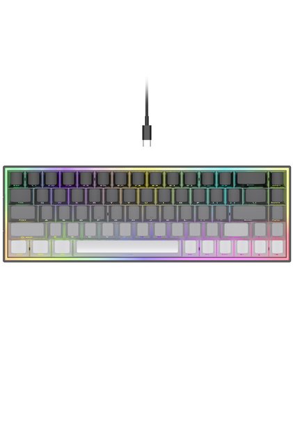 CX68 Blue Switch Mekanik Gaming Oyuncu Klavyesi Hot-Swap 1K Hz 68 Tuş Type-C Kablolu Full Anti-Ghosting 24 Mod RGB PBT Tuş