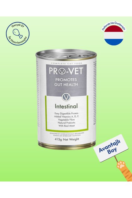 Intestinal Veteriner Gastrointestinal Kedi Yaş Maması 415 gr