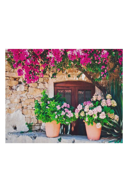 5D Elmas Taş İşleme Kiti 20x30 cm Saksılarda Çiçekler Desen