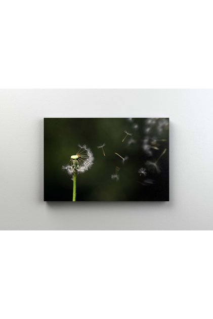 Tablou Canvas - Papadie