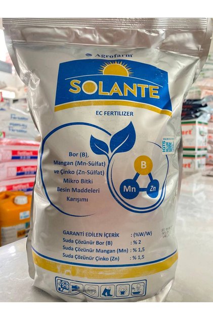 Solente meyve tutumu