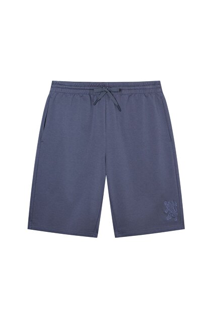 Men Regular Interlock Embroidery Shorts