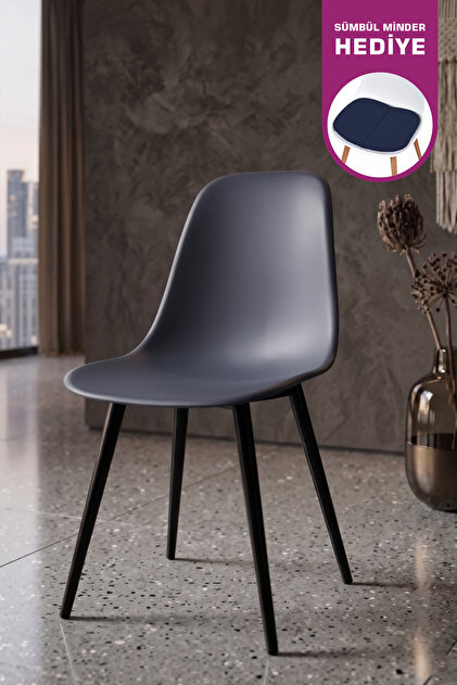 VİLİNZE Eames Siyah Ahşap Ayak Plastik Füme Sandalye - Fiyatı