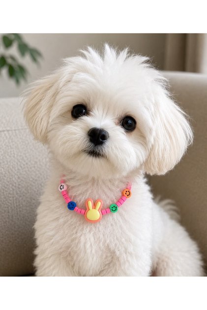 Stylish Design Cat Collar Cat Necklace Small Breed Dog Collar Dog Necklace with Rabbit Figure