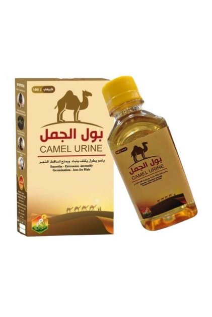 بول الجمل... سر الشعر القوي واللامع