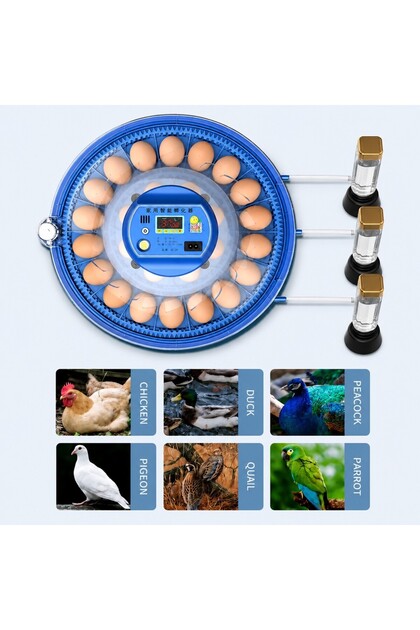 26'li Tam Otomatik Kuluçka Makinesi | Dijital Isı Kontrol | Nemlendiricili |