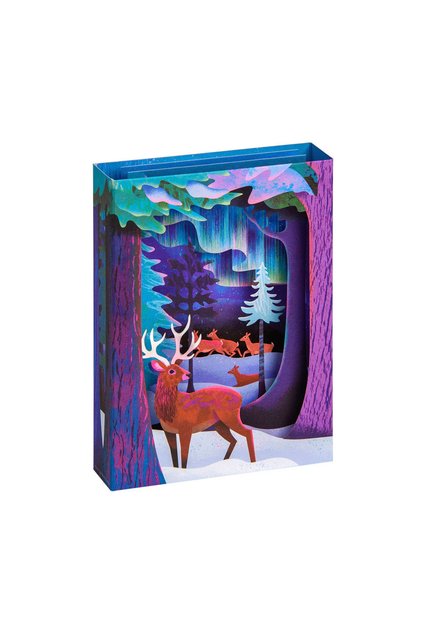 Natasha Durley Design 3D Layered Postcard Northern Lights 13678