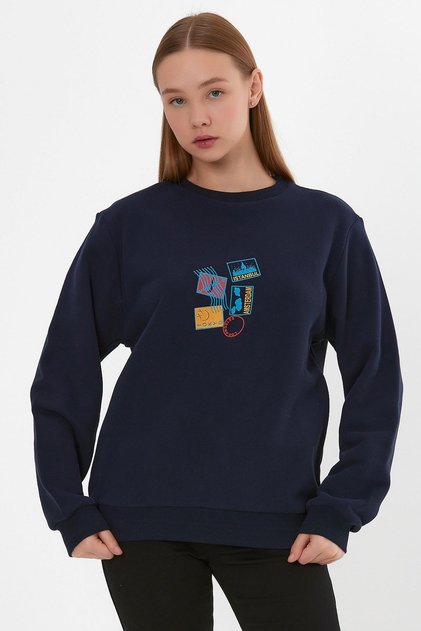 AEXANDERGARDI PRINTED RIBBANED SWEATSHIRT (E22-75600)