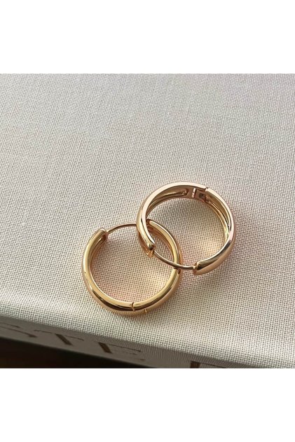 Rose Gold Özel Seri Premium Halka Çelik Küpe-20mm