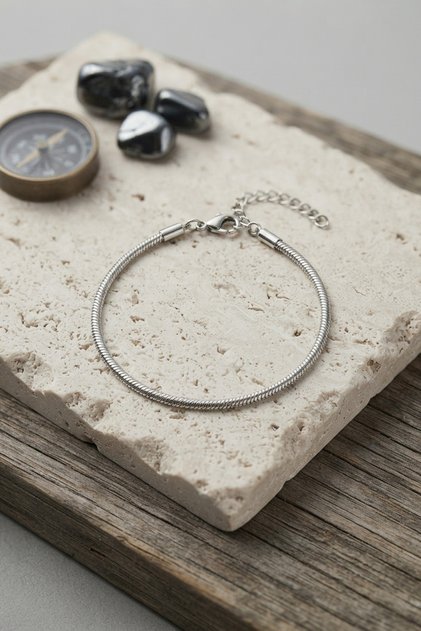 316L Steel Silver Color Snake Chain Model Men's Bracelet