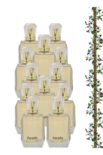 12 قطعة Paradis Pefume 100مل