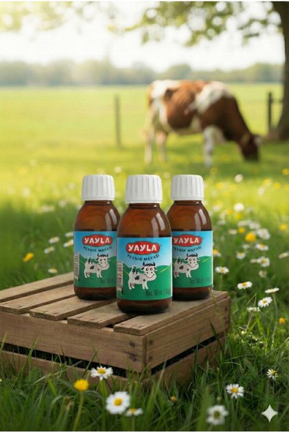 Peynir Mayası 100 ml 3 Adet (HELAL SERTİFİKALI)