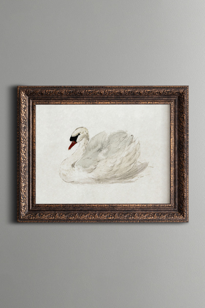 Silent Swan - Vintage Patterned Painting - Thick Model