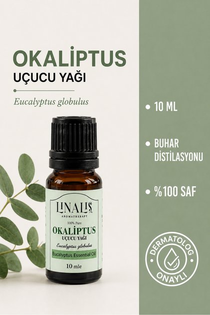 Eucalyptus Essential Oil 100% Pure 10 ml