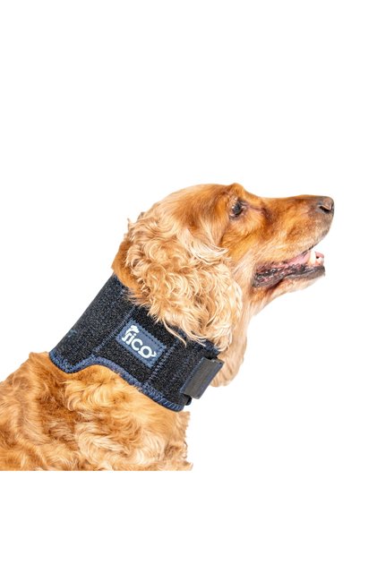 Dog Neck Orthosis Protective Neck Collar Support