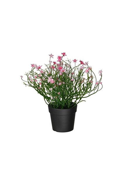IKEA Artificial Plant, Pink, 9 Cm, Spring Star, Indoor-Outdoor- Trendyol