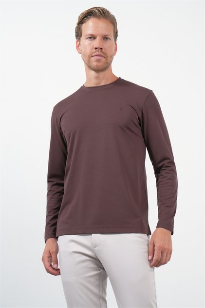 Brown Crew Neck Long Sleeve Knitted Standard Fit Stretchy Sweatshirt 1013260150