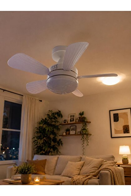 Cata aydınlatma Karayel Fan Led 82w Kumandalı dimmerli Işıklı