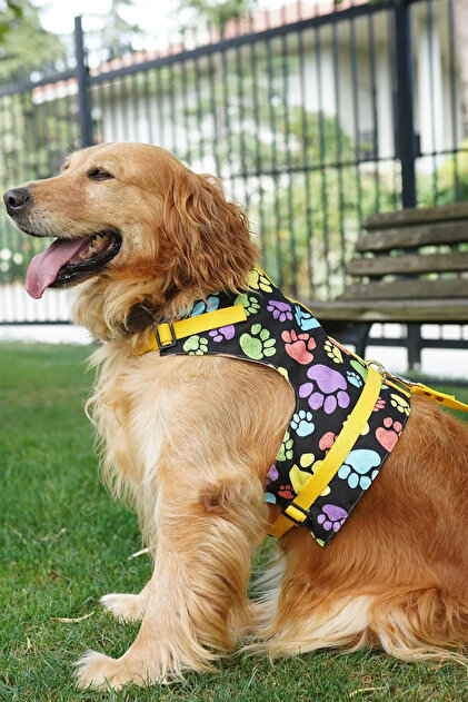 Anti-Escape Dog Chest Collar Set Small Breed and Large Breed Dog Walking Collar