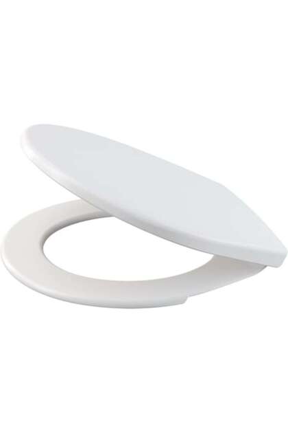 Scaun WC A60