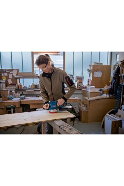 Bosch GEX 34-125 Eksantrik Zımpara Makinesi 0601372300 - Fiyatı