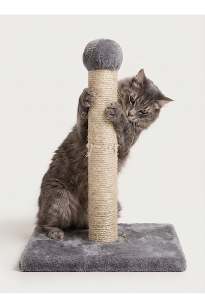 Kedi Tırmalama Tahtası