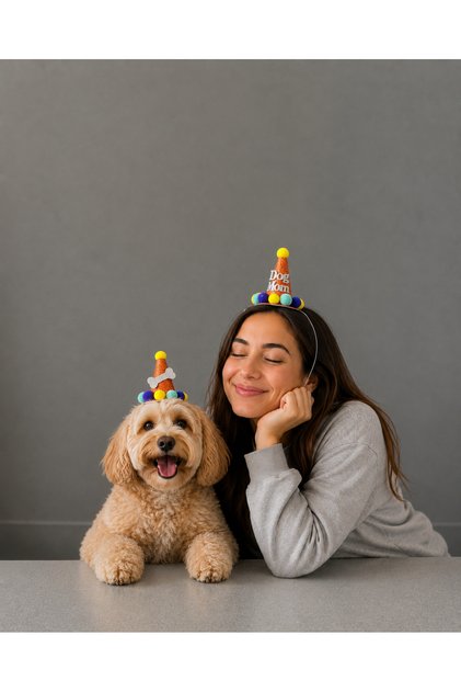 Köpek parti şapkası seti Dog mom takım/ turuncu renkli