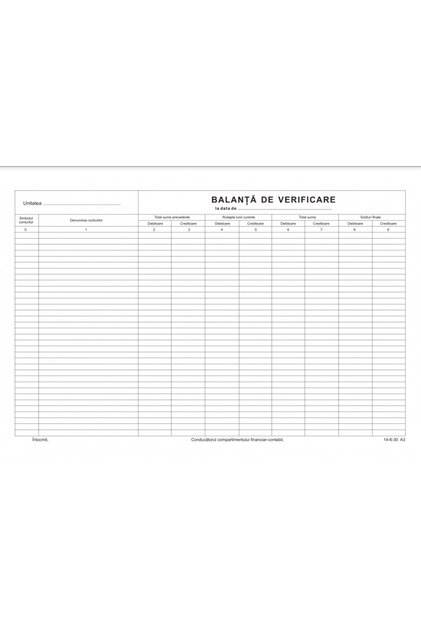 Tipizat - balanta verificare - A3, landscape, simplu