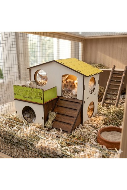 Hamster Kalesi Medium Two