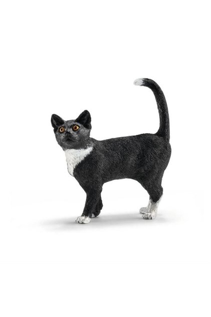 Ayakta Kedi