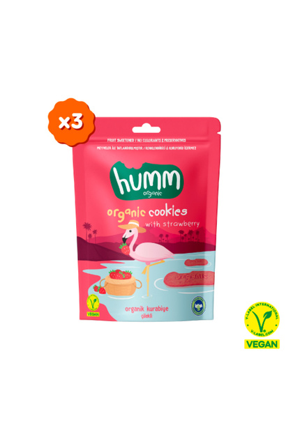 Organik Vegan Çilekli Kurabiye - 3 Adet