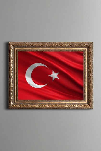 Turkish Flag - Vintage Patterned Painting - Thick Model