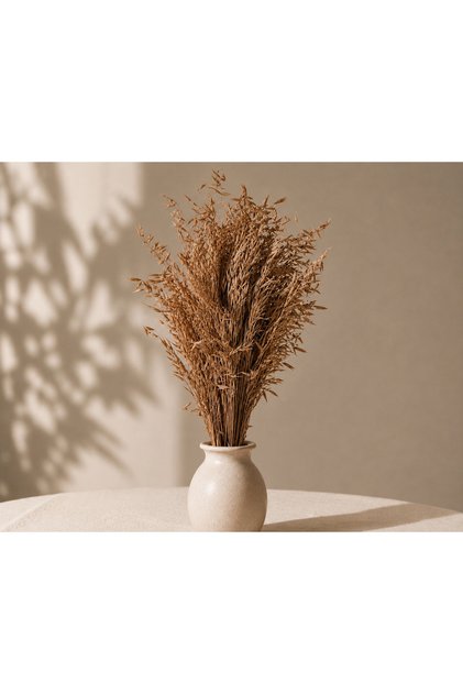 Doğal Kuru Yulaf Demeti (Kahverengi)(Avena) – Dekoratif Naturel Kuru Çiçek