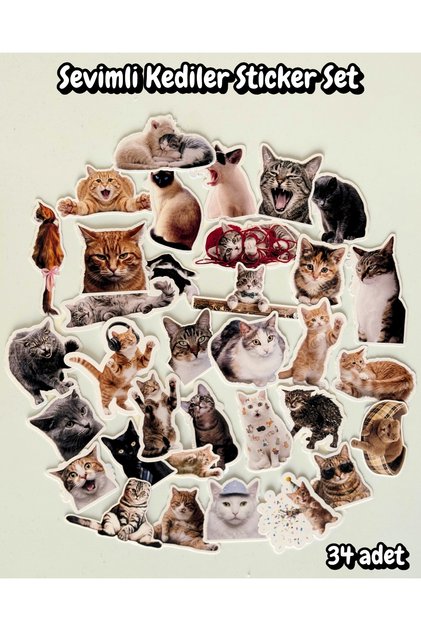 Cute Cats 2 Sticker Set Bullet Journal Agenda Notebook Laptop Tablet Phone Sticker Decal