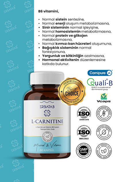  acetyl l-carnitine ACETYL L-CARNITINE 500 mg