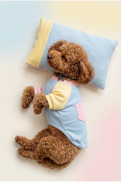 Bubbles Pastel Köpek Uyku Takımı | Mini Yastıklı Şeker Renkli Yazlık Köpek Pijama Seti | Küçük Irkla