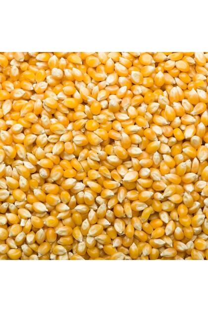 Popcorn 5 kg فشار دورا.