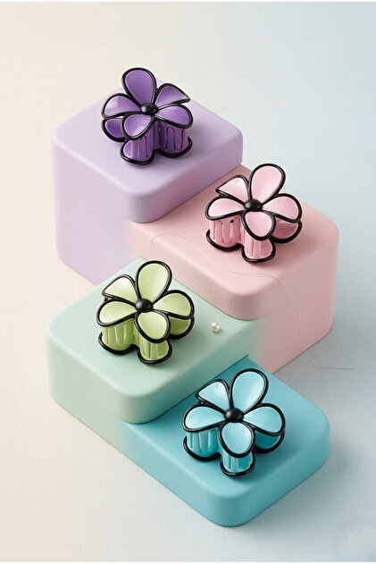 monalisatoka 4'lü Set Pastel Renkli Siyah Çerçeveli Daisy Papatya