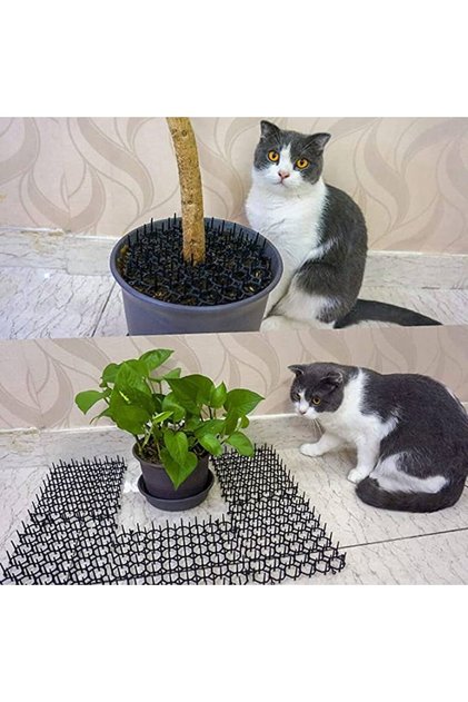 ARKADO Siyah Kedi Matı 5 Adet