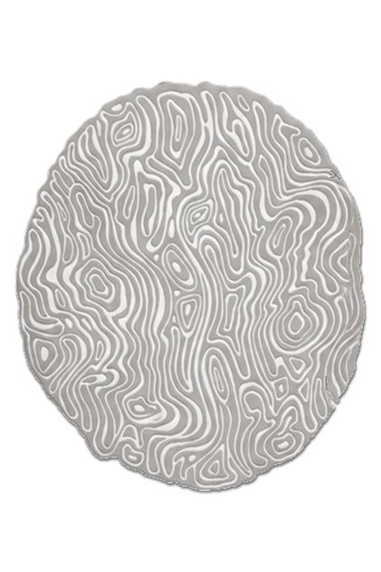 Sdt Traditional Patterned Modern Woven Base Decorative Carpet Sdtamor2988