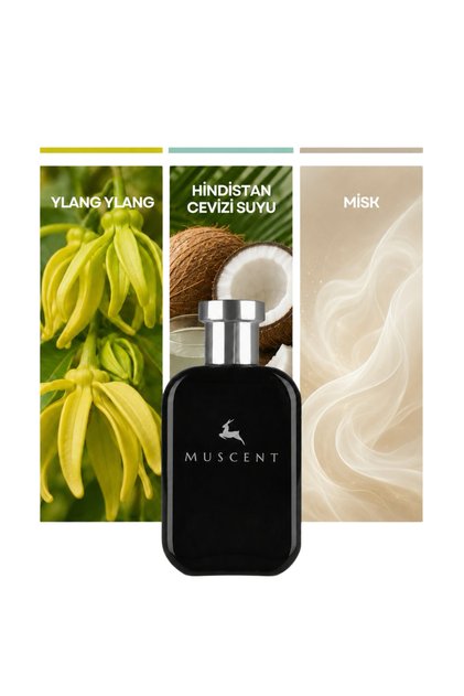 N421 Beach W 50 ml.