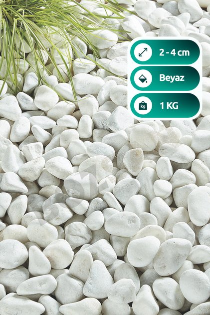 Beyaz Dolomit Taş 1 Kg 2-4cm Dolomit Taşı Bahçe Süs Akvaryum Taşı Dere Çakıl Taşı