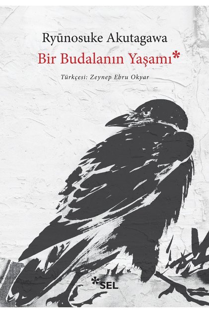 Bir Budalanın Yaşamı