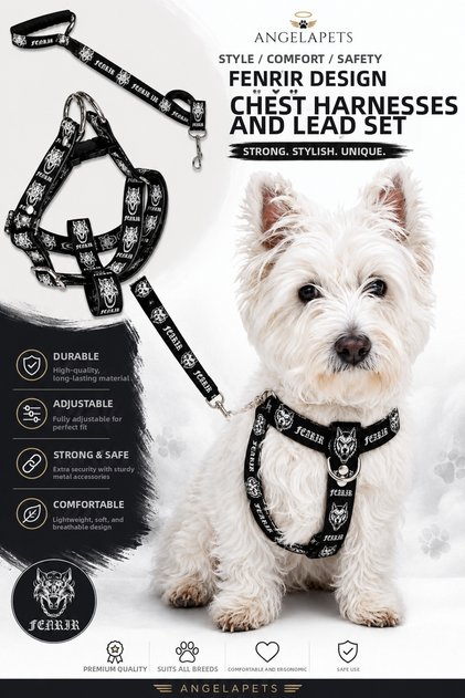 Dog Chest Harness and Walking Strap Set